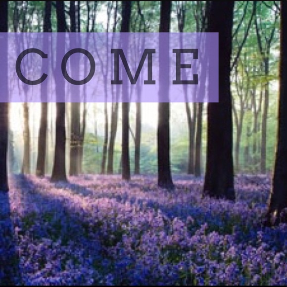 E v e r y o n e! 🌿 - Picture 1 of 6